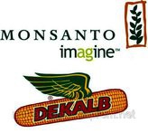   MONSANTO   